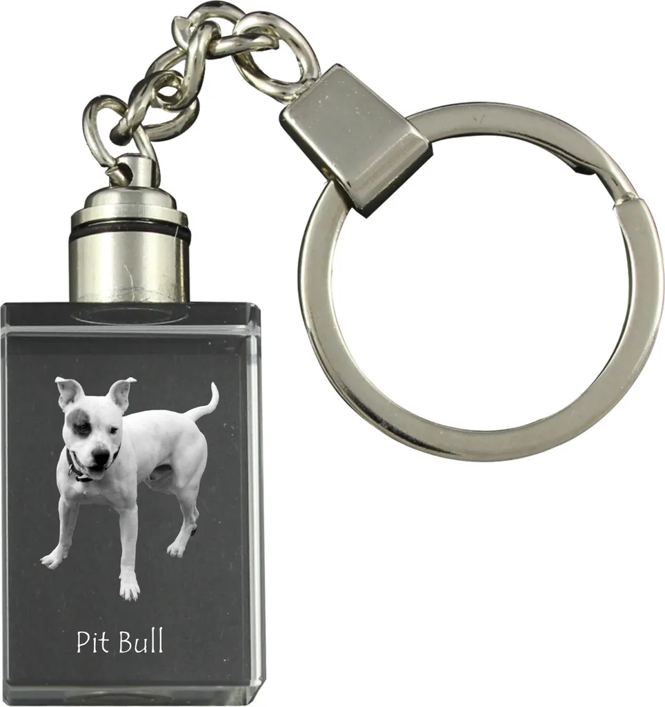 Regalo Commemorativo Pitbull - Portachiavi Cristallo LED con Foto 3D