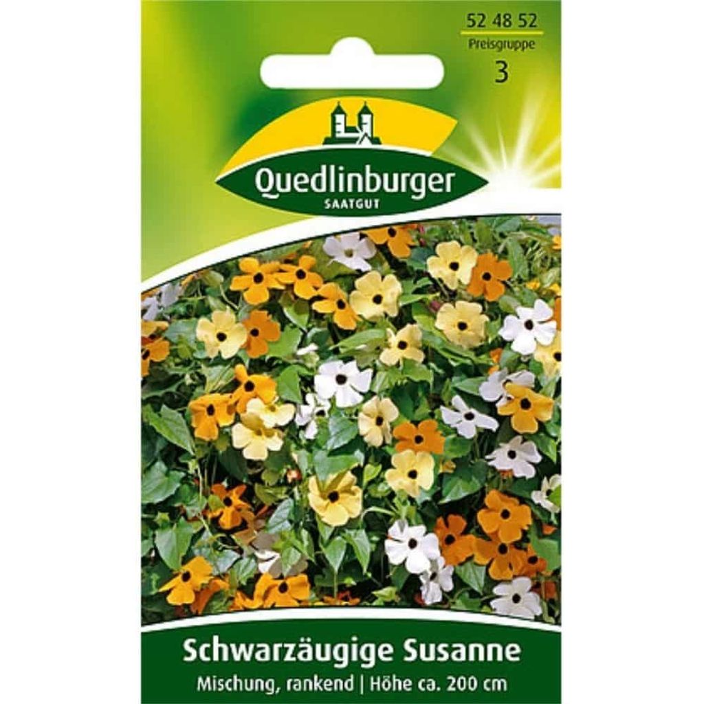 Schwarzäugige Susanne Mischung rankend | Blumensamen von Quedlinburger