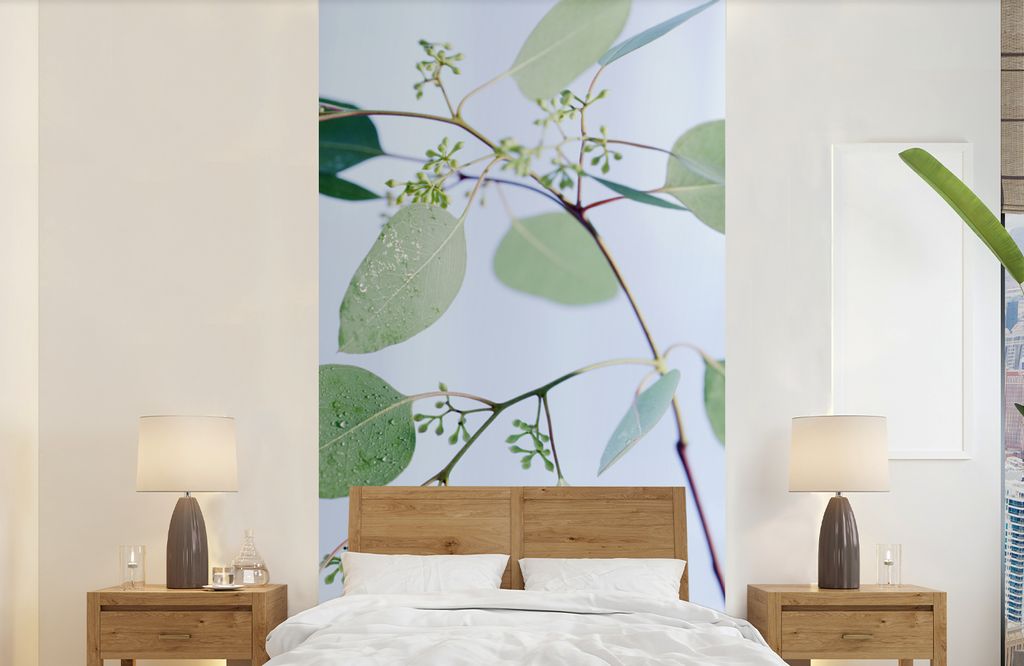 MuchoWow Fototapete für Wohnzimmer oder Schlafzimmer Wandtapete Vinyl Motivtapete Eukalyptuszweige mit Blättern - 120x240 cm - Hintergrundbild