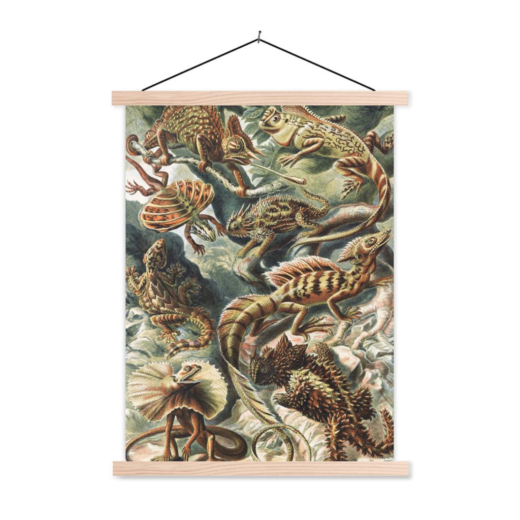MuchoWow Textilposter Jahrgang - Kunst - Ernst Haeckel - Salamander - Tiere 120x160 cm mit holzfarbenen Rahmen - Plakatkarton