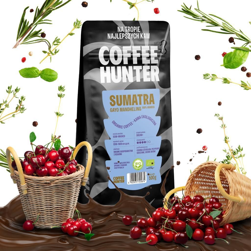 Sumatra Gayo Mandheling 1000g ORGANIC Kaffee - Öko Produktbild 