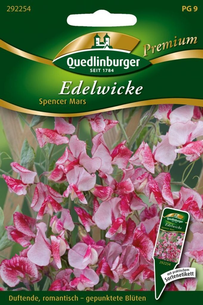 Edelwicken Spencer Mars | Wickensamen von Quedlinburger