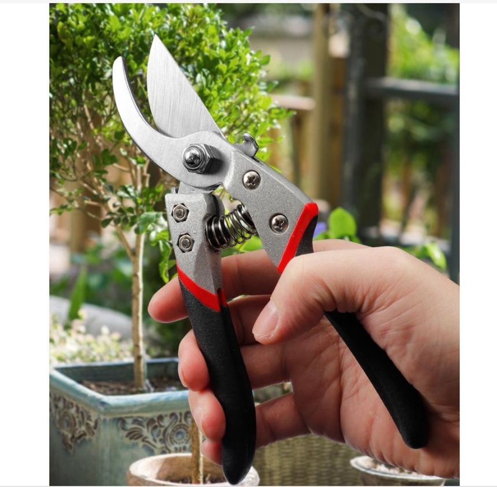 INF Professionelle, robuste Gartenschere für mühelose Schnitte