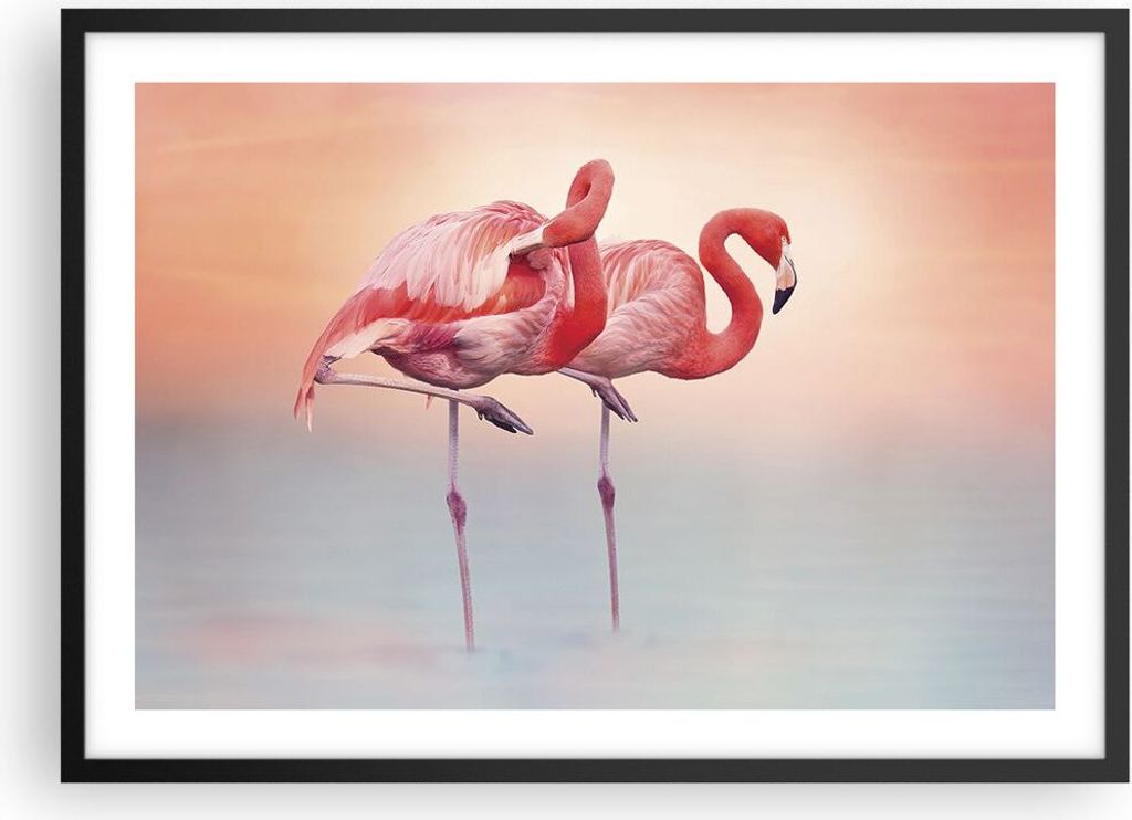 Gerahmtes Poster - Schwarzer Rahmen - Flamingos Exotik Vögel - 70x50 cm - Wand Bild - Wanddeko - Wandbilder - Kunstposter - Wandposter - Bilderrah...