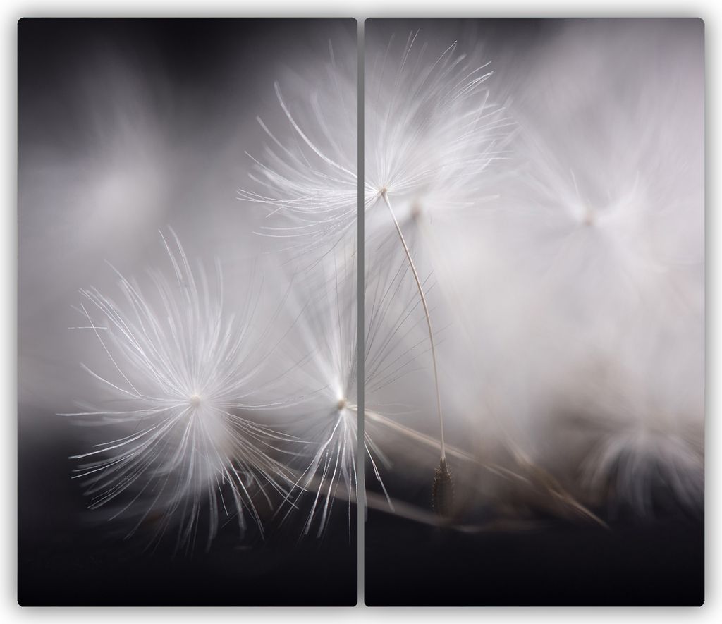 Tulup Glas-Herdabdeckplatte - 2x30x52cm - Glaskeramikkochfeld-Abdeckung Spritzschutz Zweiteilig Pusteblume Samen