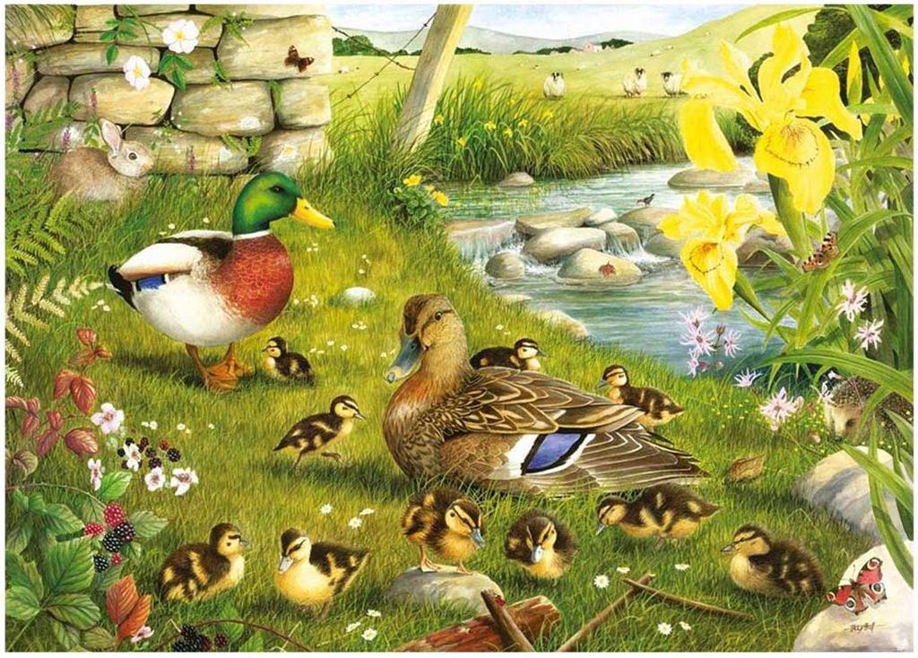 House of Puzzles Puzzle Ducks To Water 500 XL Teile Tiere