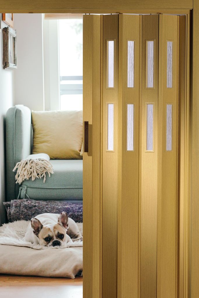 Forte Kunststoff-Falttür "Luciana" B 88,5 x H 202 cm Eiche hell 2 Fenster