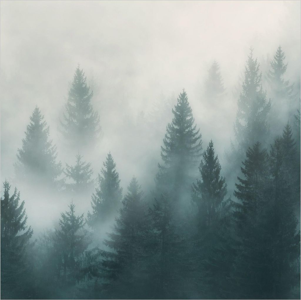 Fototapete Wald - Vliestapete - Bildtapete UV-beständig Wald beige Motiv Wandtapete geruchsfrei