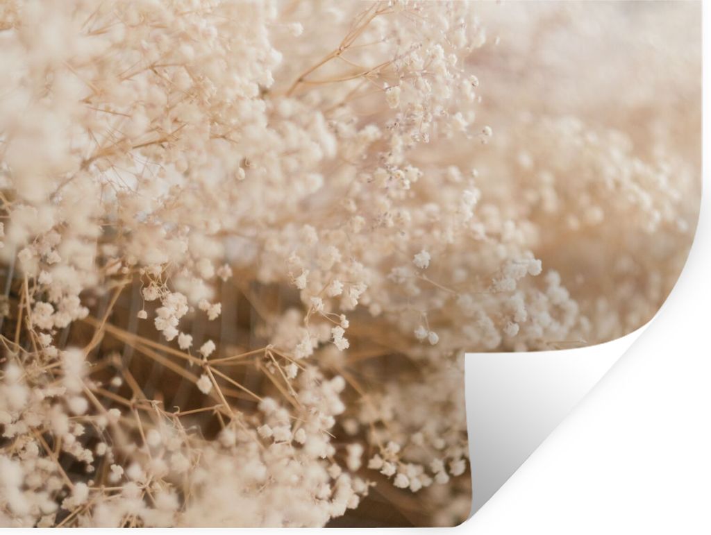 MuchoWow Wandtattoo Wandsticker Wandaufkleber Pampasgras - Pflanze - Natur 120x90 cm Selbstklebend und Repositionierbar - Aufkleber