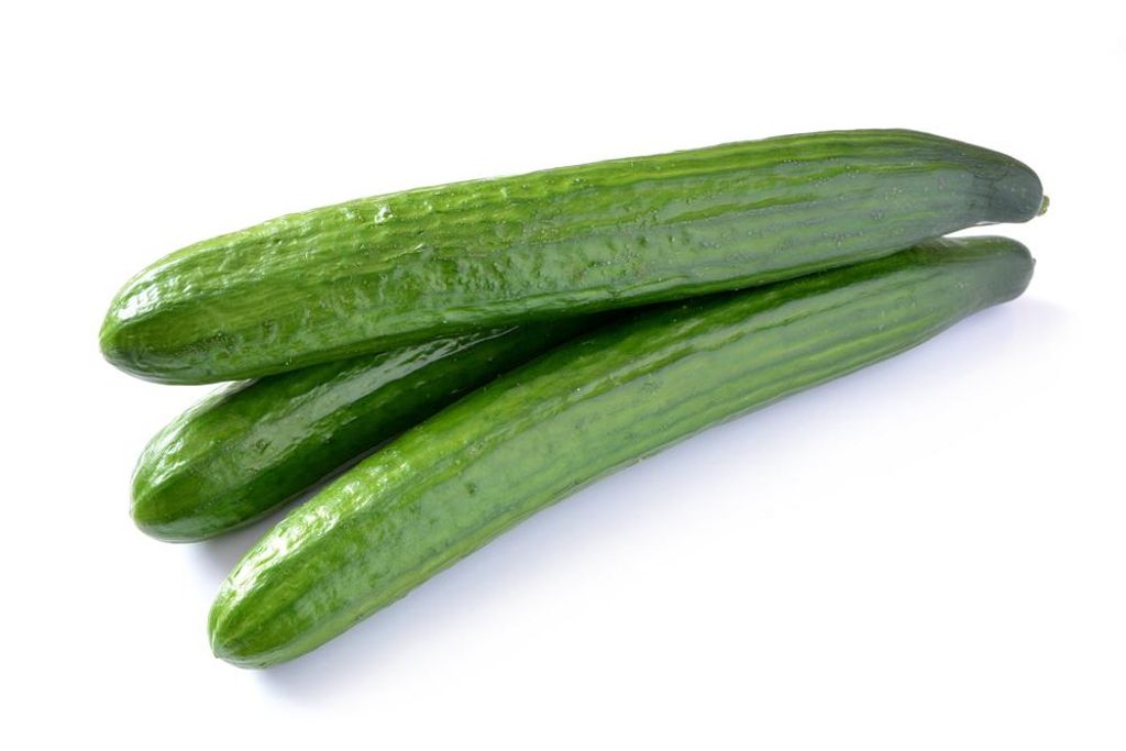 25 Samen Salatgurke „Telegraph Improved“ – Lange, glatte Früchte | Ertragreiche Gurkensorte | Ideal für Garten & Gewächshaus