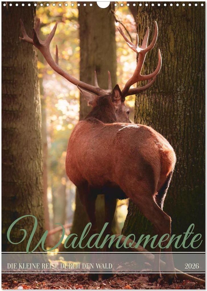 Waldmomente (Wandkalender 2026 DIN A3 hoch), CALVENDO Monatskalender