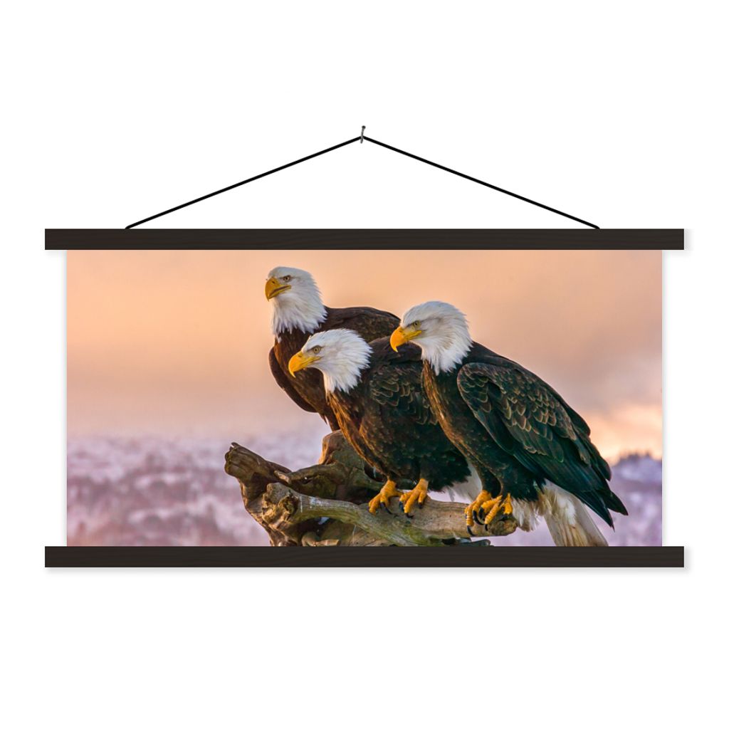 MuchoWow Textilposter Vögel - Natur - Raubvögel - Adler 120x60 cm mit schwarzem Rahmen - Dekoration Schlafzimmer