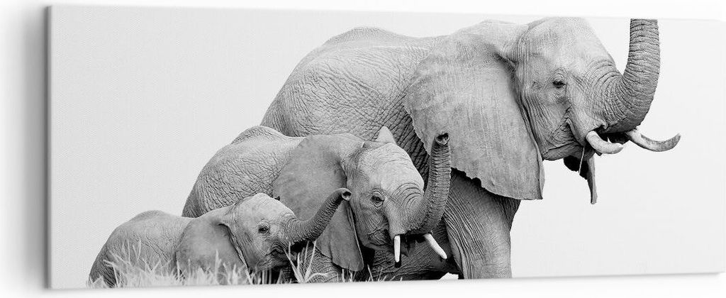 Bild auf Leinwand - Leinwandbild - Einteilig - Elefanten Familie Schwarz und Weiß - 140x50cm Wand Bild Wanddeko Wandbilder Leinwanddruck Bilder Wa...