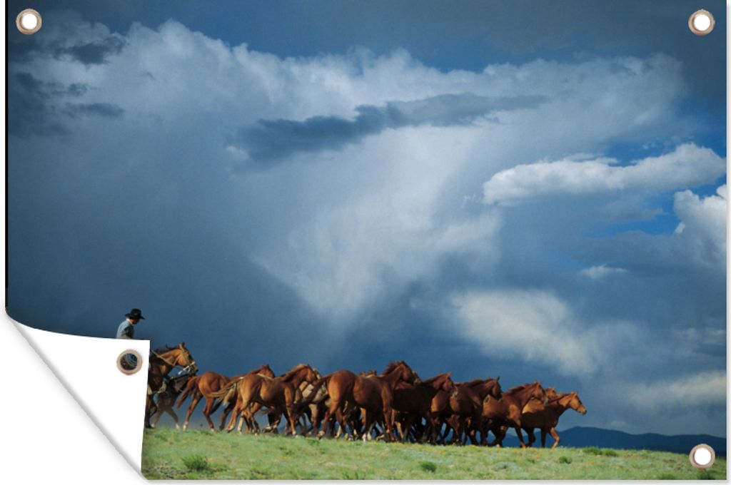 MuchoWow 60x40 cm Outdoor-Poster Gartendeko Sichtschutz Garten Poster für den Garten Pferde - Cowboy - Luft