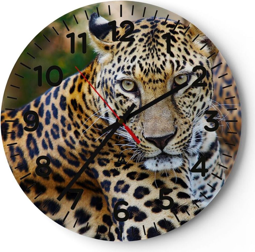 Wanduhr - Rund - Glasuhr - Leopardpanther Katze Tier Savanne - 30x30cm - Schleichendes Uhrwerk - Lautlos - zum Aufhängen bereit - Dekoration Moder...