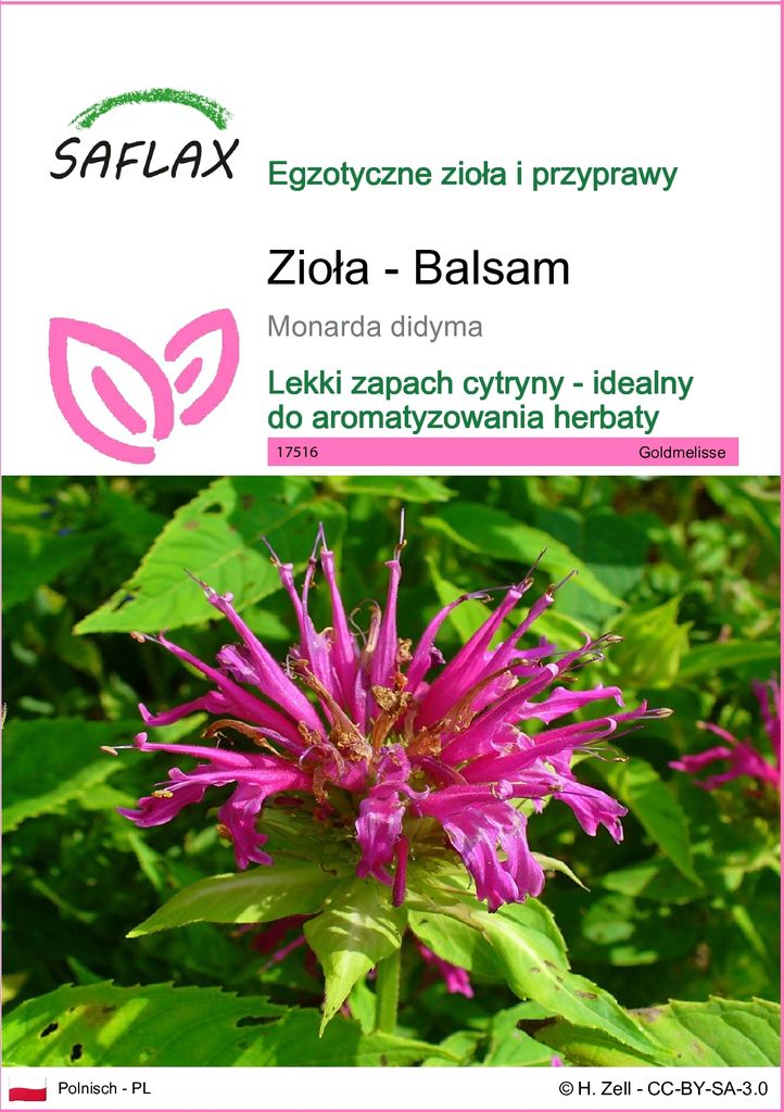 SAFLAX - Zioła - Balsam - 20 Nasiona - Monarda didyma Zdjęcie produktu 
