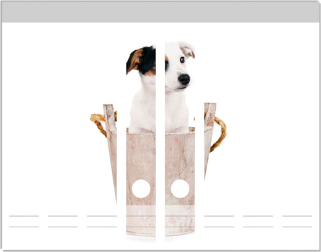 Wallario Ordnerrücken Sticker, selbstklebend für schmale Ordner, 8 Stück, Motiv Hunde-Welpe Jack Russel Terrier in einem Holzeimer