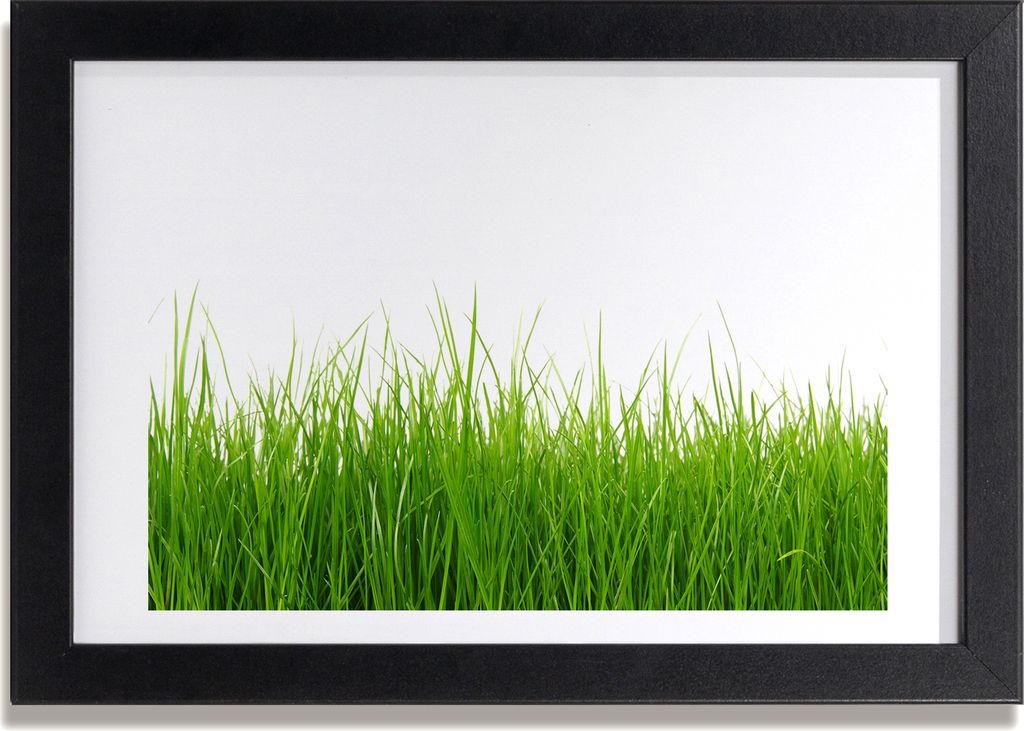 Bild 30x20 MDF-Rahmen, Wandkunst Gras