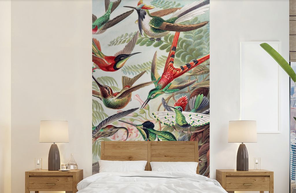 MuchoWow Fototapete für Wohnzimmer oder Schlafzimmer Wandtapete Vinyl Motivtapete Kolibri - Vintage - Ernst Haeckel - Vogel - Kunst - Natur - 12...