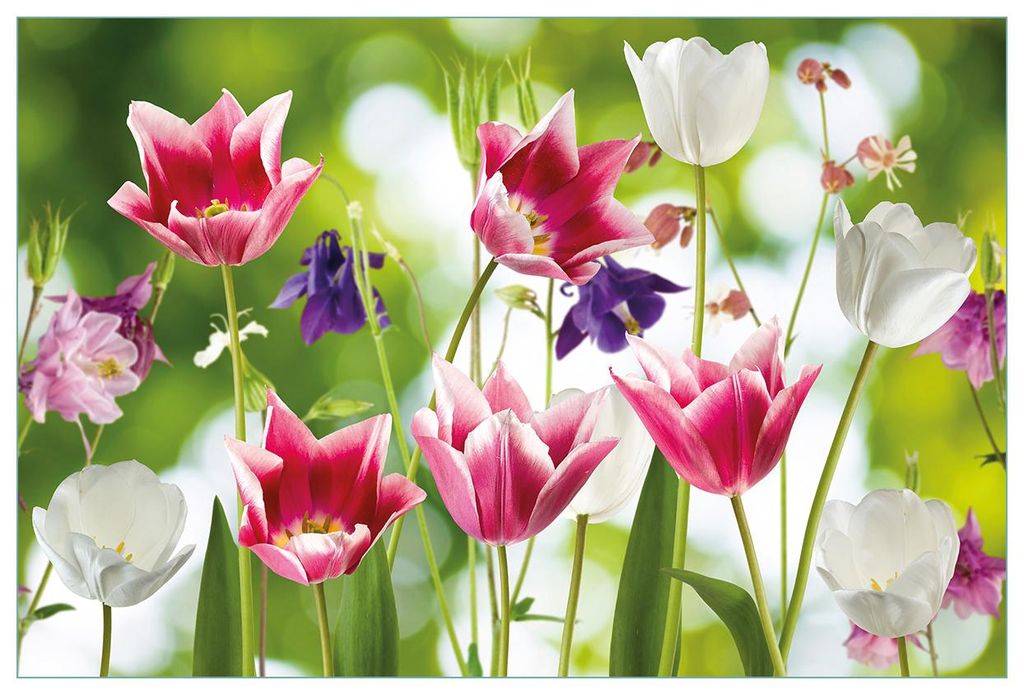 Wallario Küchenrückwand selbstklebend, Größe: 90 x 60 cm, Motiv: Blühende Blumen im Frühling in pink und weiß | Spritzschutz | abwischbar | ...
