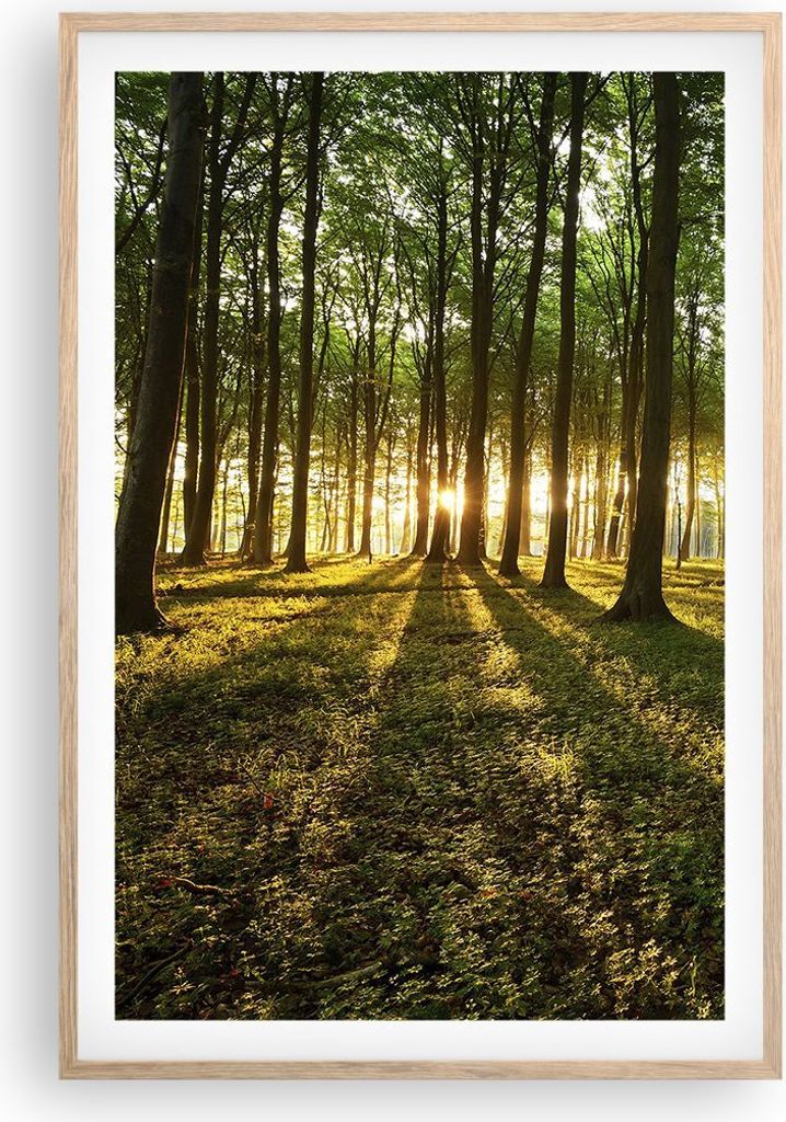 Gerahmtes Poster - Rahmen in heller Eiche - Wald grün Sonnenstrahlen Natur - 61x91,5 cm - Wand Bild - Wanddeko - Wandbilder - Wandposter - Bilderr...