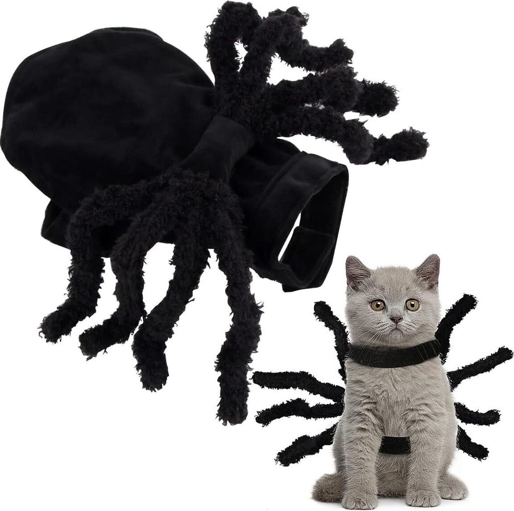Katze Kleidung Halloween, Katzen Klamotten Fledermaus, Hundekostüm Bat Wings, Haustier Fledermausflügel, Fledermaus Kostüm Hunde, Katze Bat Win...