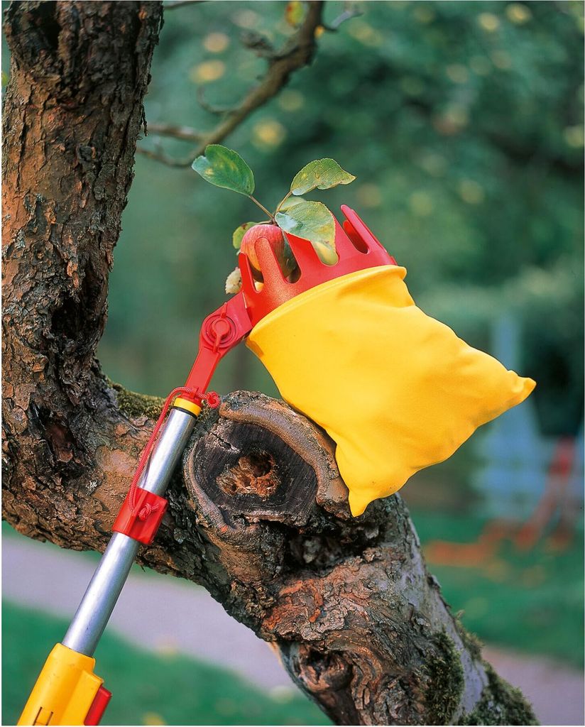 WOLF-Garten 71A-CA008650 Cueilleur de fruits MS RG-M avec Image du produit 