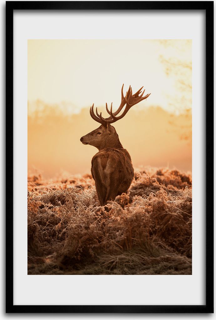 Bild - Bilderrahmen - 40 cm x 60 cm - MDF - Rahmen - Wandkunst - Hirsch Sonnenaufgang