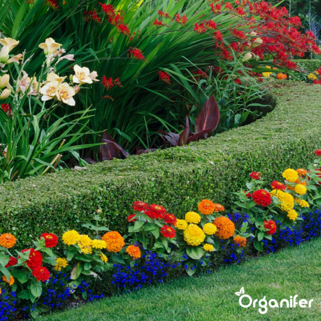 Lavameal z prapôvodnej horniny Eifel (20 kg – pre 200 m2) Obrázok produktu 11