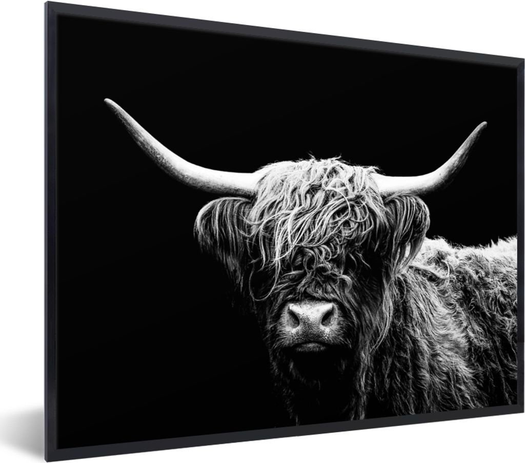 MuchoWow Gerahmtes Poster Schottischer Highlander - Kuh - Schwarz - Weiß - Tiere 40x30 cm - Poster mit Schwarzem Bilderrahmen Wandposter Rahmen ...