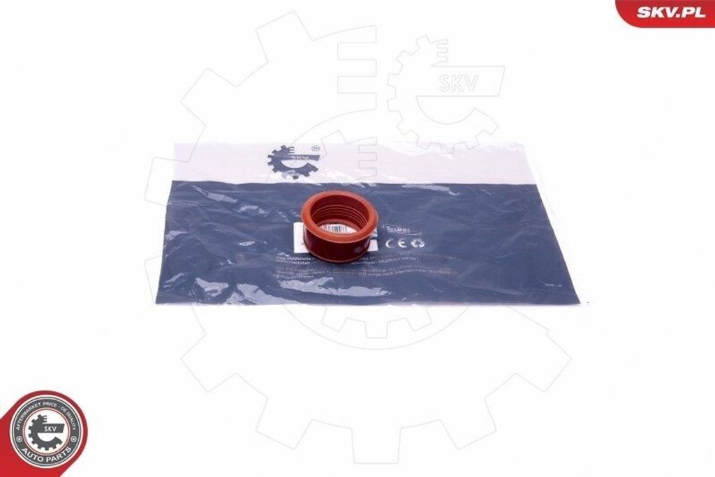 ESEN SKV 24SKV498 Ansaugschlauch Luftfilter für FORD Fiesta Mk6 Schrägheck (JA8, JR8)