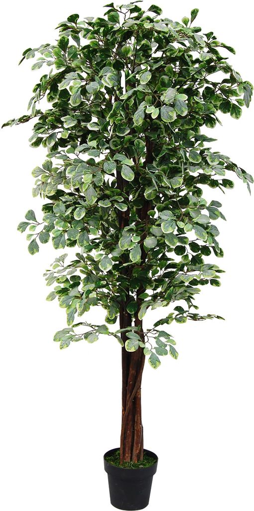 Ficus Benjamin breza figová umelá rastlina umelý strom Obrázok produktu 