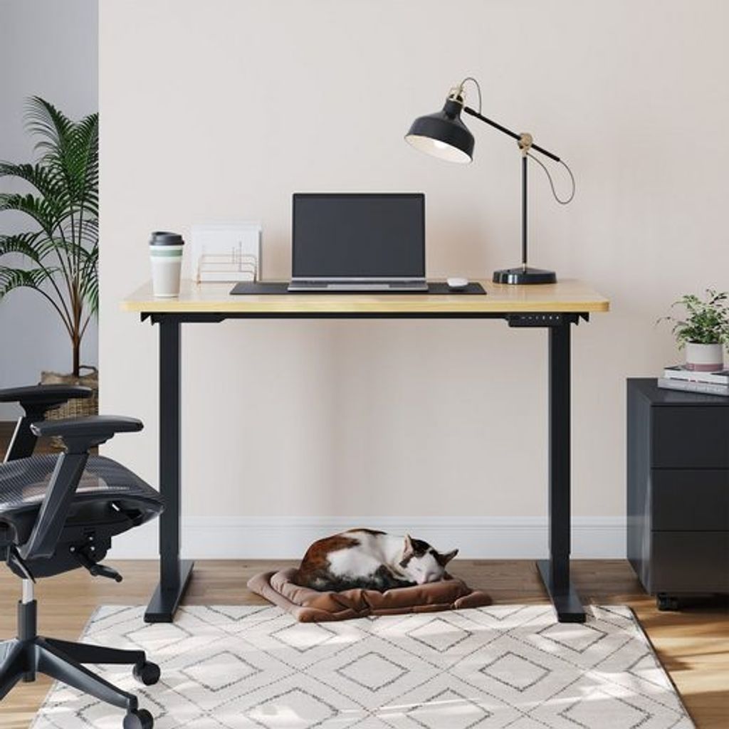 FLEXISPOT Schreibtisch EB2-SET, Höhenverstellbarer Produktbild 3