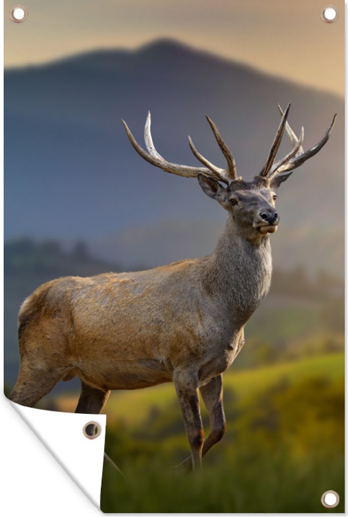MuchoWow 80x120 cm Outdoor-Poster Gartendeko Sichtschutz Garten Poster für den Garten Hirsche - Berg - Gras - Sonnenuntergang - Tiere - Natur