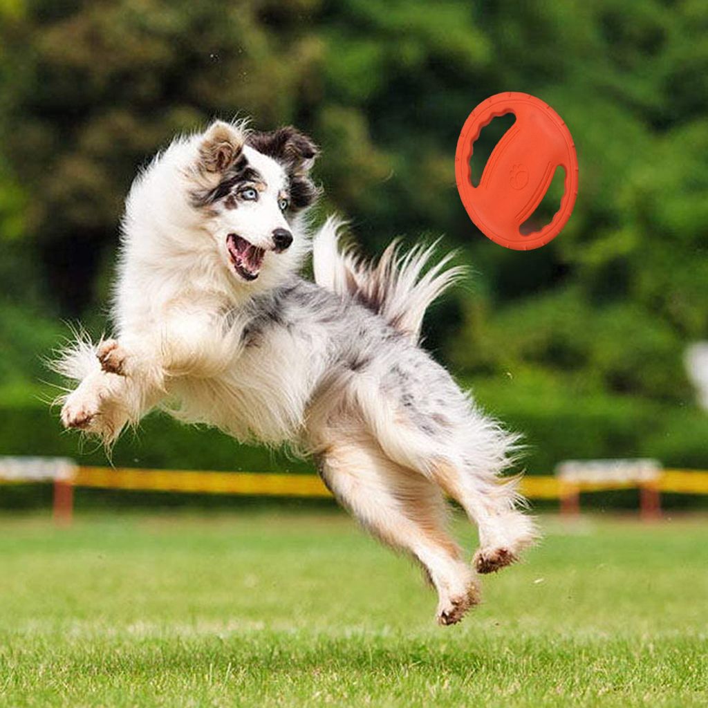 Frisbee und wurfscheiben，Mittlere und große Hunde Produktbild 4