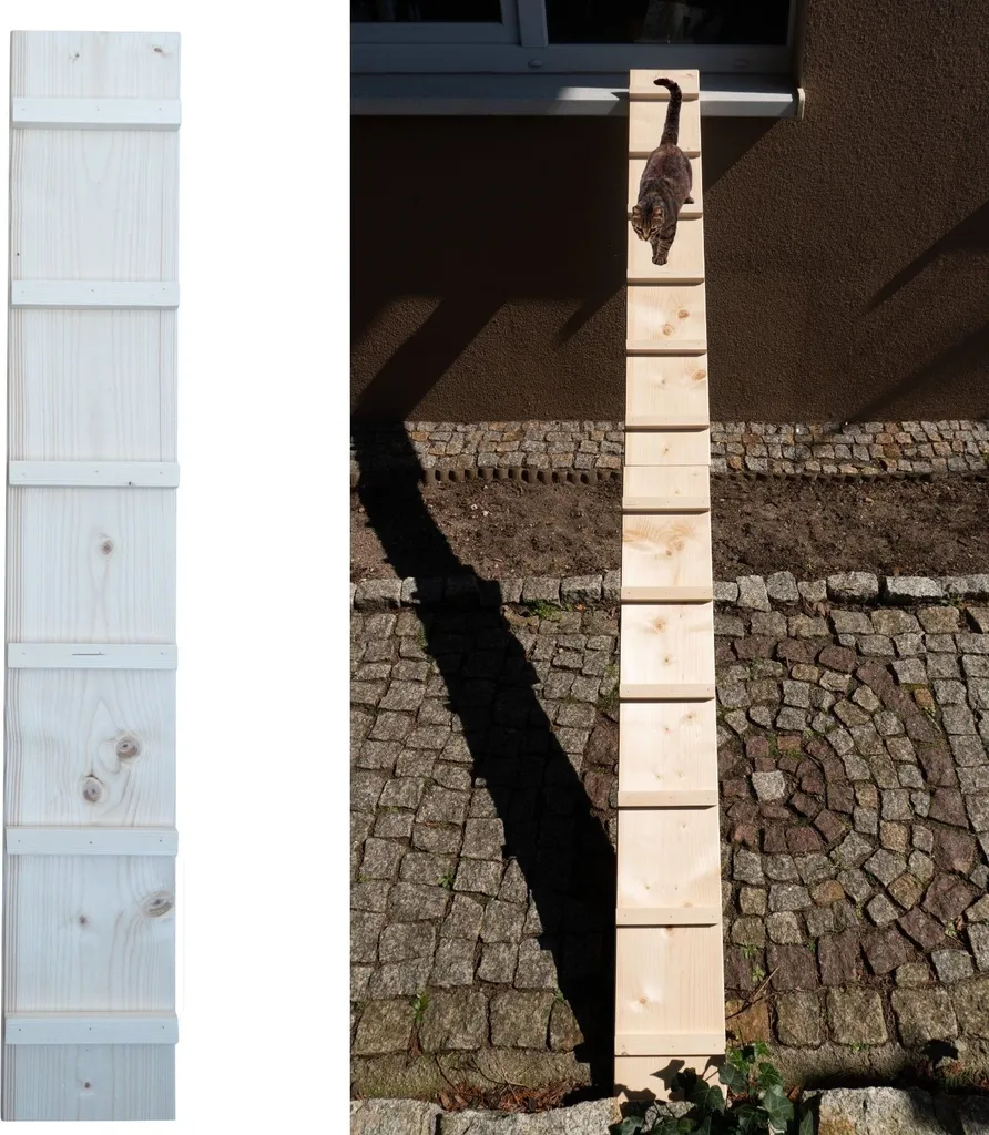 Passerella Gatti Esterno 2,4m - Scaletta per Balconi e Finestre