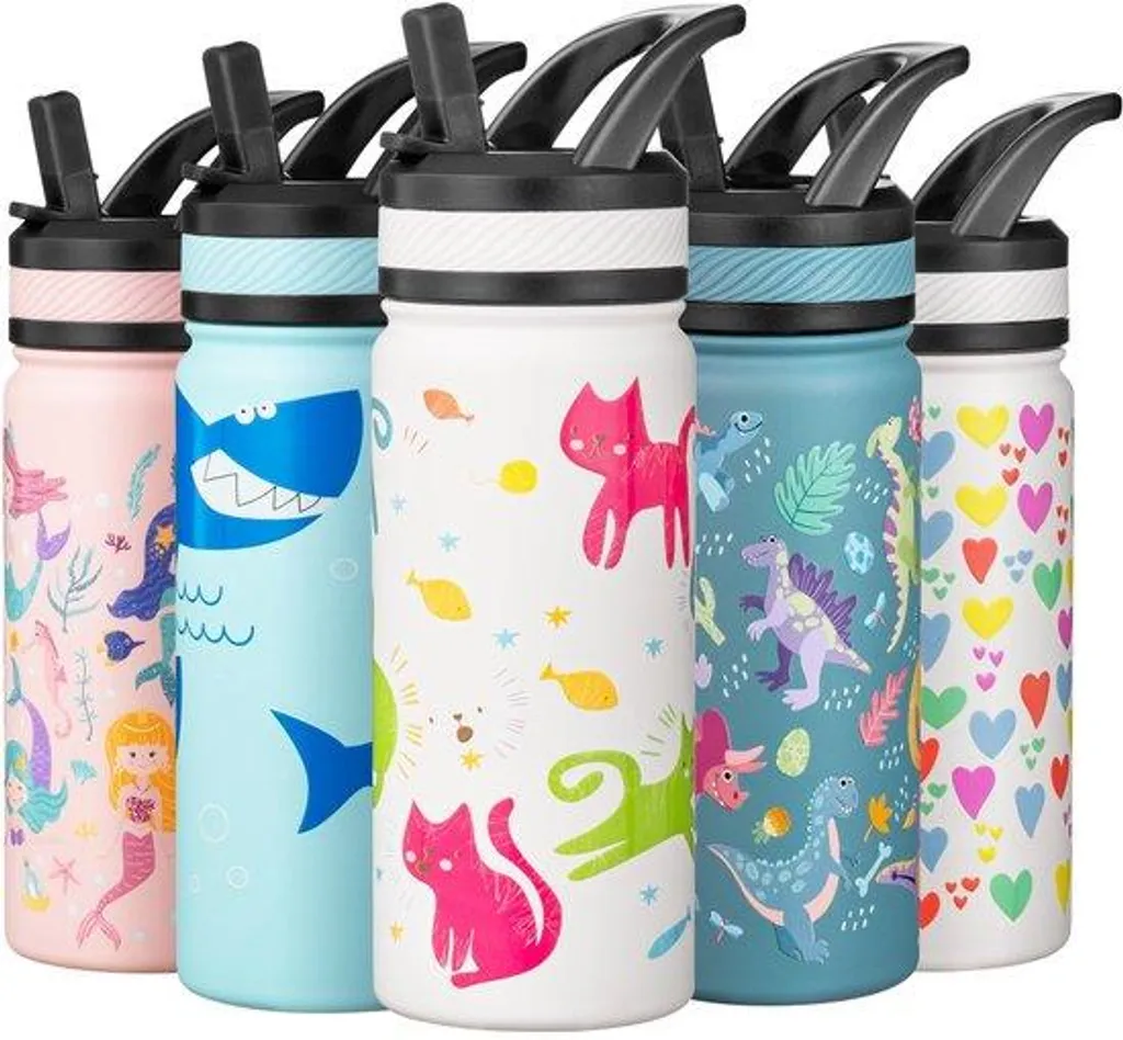 Gourde Scolaire 550ml pour Fille et Garçon, Gourde Inox avec Paille Chat