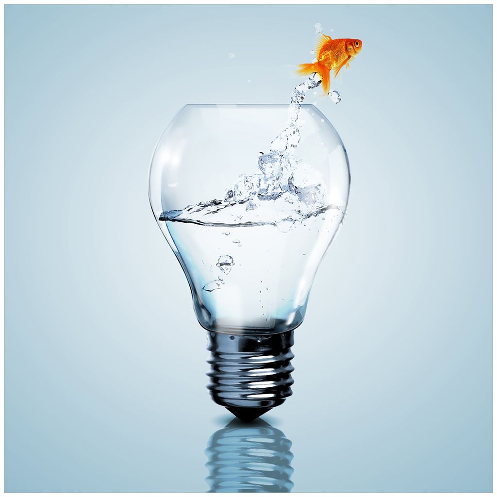 Wallario Magnet für Kühlschrank / Geschirrspüler, magnetisch haftende Folie - 60 x 60 cm, Motiv: Goldfisch springt aus Aquarium