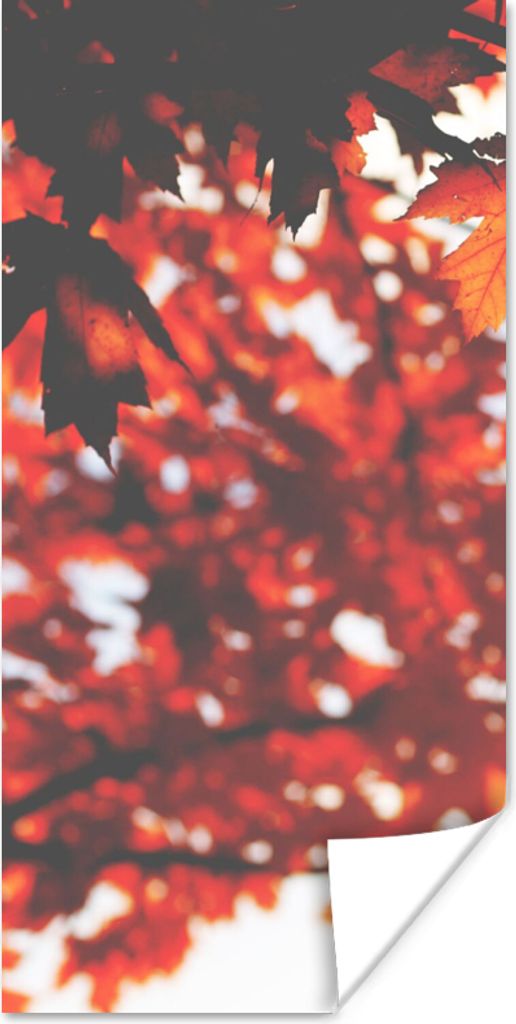MuchoWow Poster Herbstliche Blätter - Rustikale Dekoration - Sonne 80x160 cm - Kinderzimmer