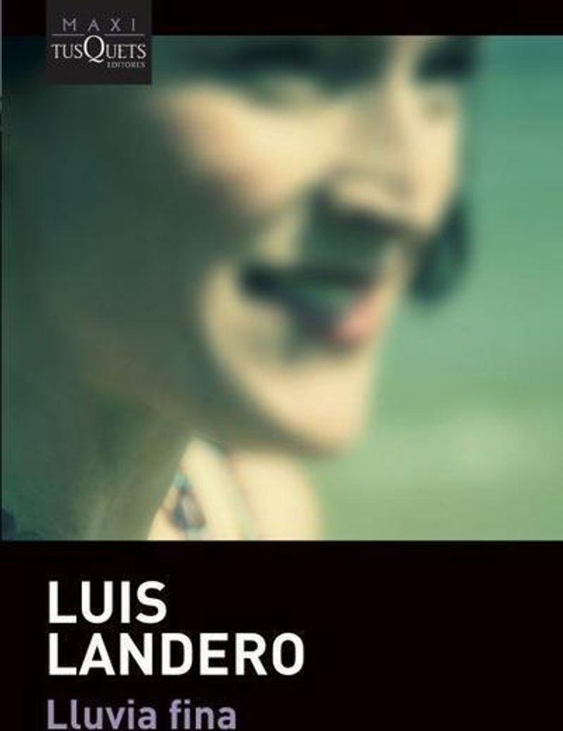 Lluvia fina