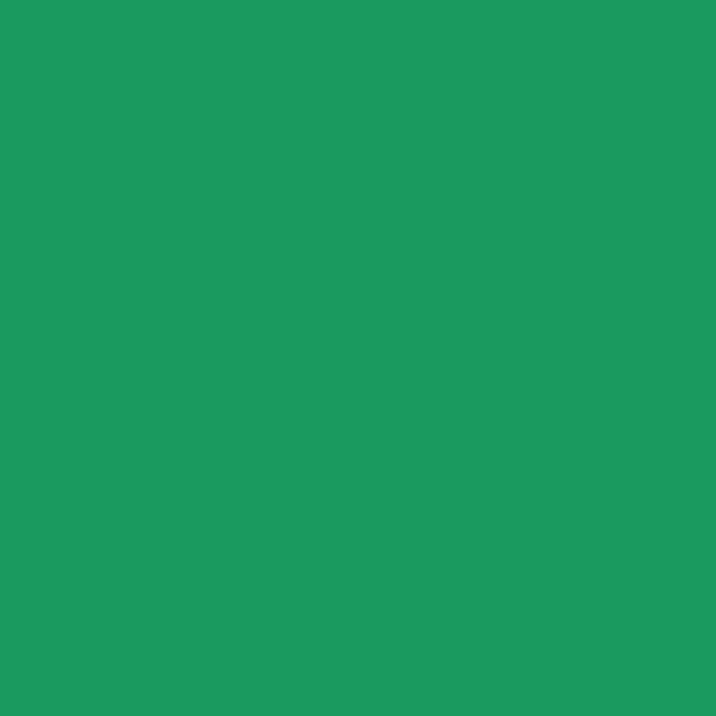 craftcut Plotterfolie - M42 BRIGHT GREEN matt - in 100 x 30,5cm