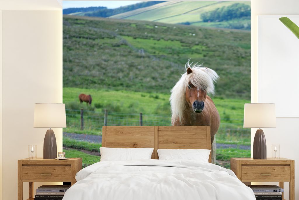 MuchoWow Fototapete für Wohnzimmer oder Schlafzimmer Wandtapete Vinyl Motivtapete Shetlandpony - 240x260 cm - Tapezier Papier