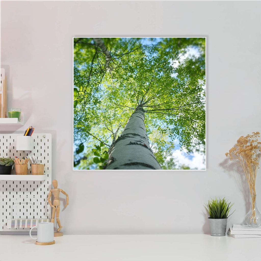 Design Stahlmagnettafel Quadratisch 50x50cm Zwischen Bäumen 5