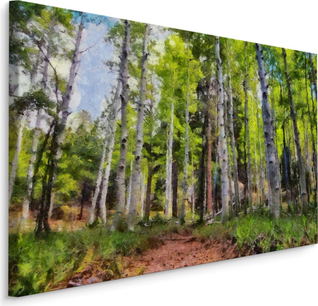 Fabelhafte Canvas LEINWAND BILDER 100x70 cm XXL Kunstdruck Wald Birke Bäume Himmel