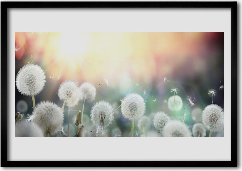 Bild 70x50 MDF-Rahmen Wandkunst Löwenzahn Blumen Natur