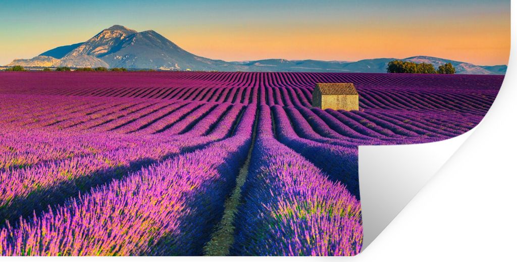 MuchoWow Wandtattoo Wandsticker Wandaufkleber Lavendel - Berg - Blumen 80x40 cm Selbstklebend und Repositionierbar - Aufkleber