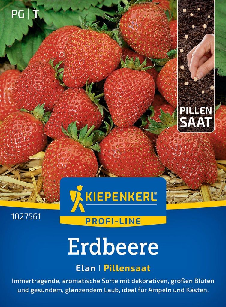 Kiepenkerl Erdbeersamen Elan F1 Pillensaat Fragaria ananassa 6 Pflanzen