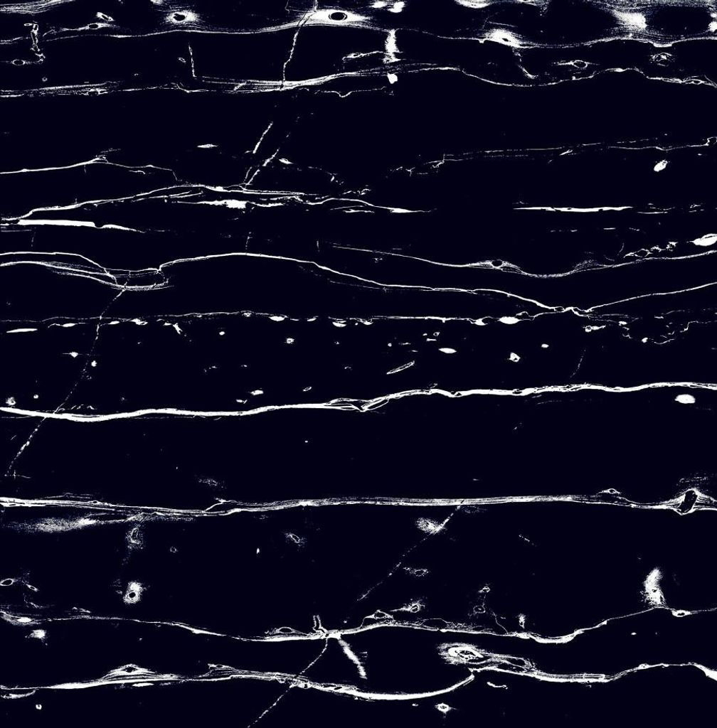 Bodenfliese Feinsteinzeug Prothro Black 60 x 60 cm schwarz