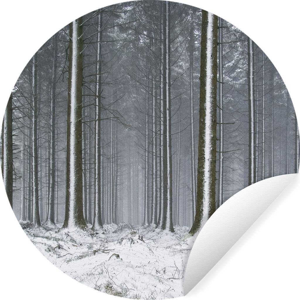 MuchoWow Runde Wandtattoo - Wandsticker Tapete Aufkleber Bäume - Winter - Schnee Ø 50 cm Selbstklebend und Repositionierbar - Wandaufkleber - K...