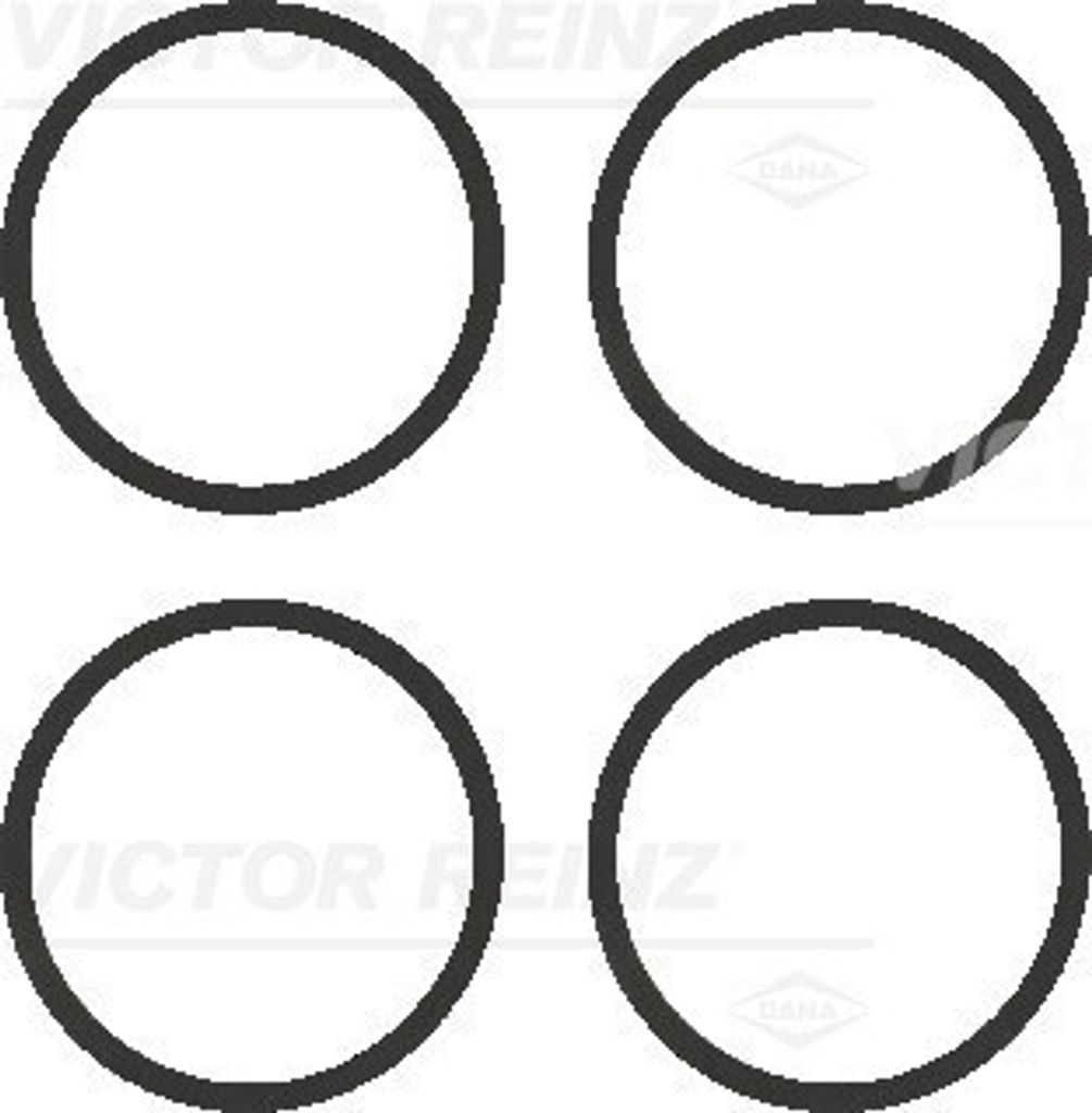 REINZ 11-77542-01 Dichtungssatz Ansaugkrümmer für VW Golf IV Schrägheck (1J1) POLO (9N) GOLF III (1H1) Lupo (6X1, 6E1) Fox Schrägheck (5Z1, 5Z3...